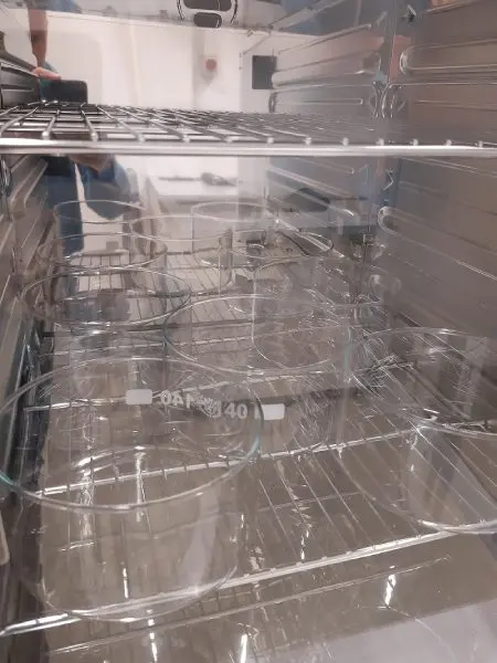 Präklinische Prüfung von Brustimplantaten nach Verfahren ASTM F703 Gel Bleeding